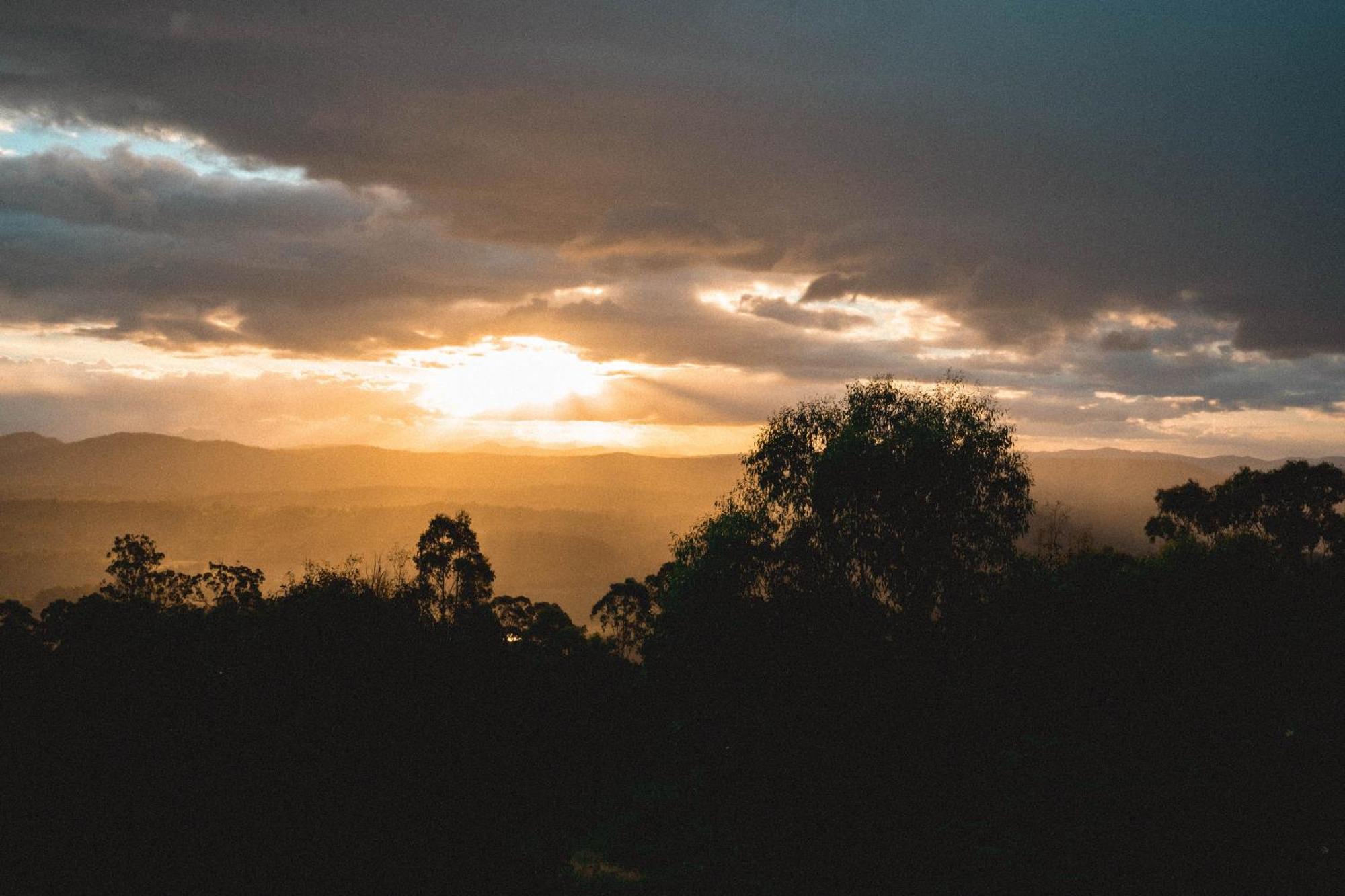 Luxurious Hinterland Retreat Heated Pool Gold Coast Hinterland Near Lamington National Park & O'reilly's Valley Vineyard Holiday home Canungra