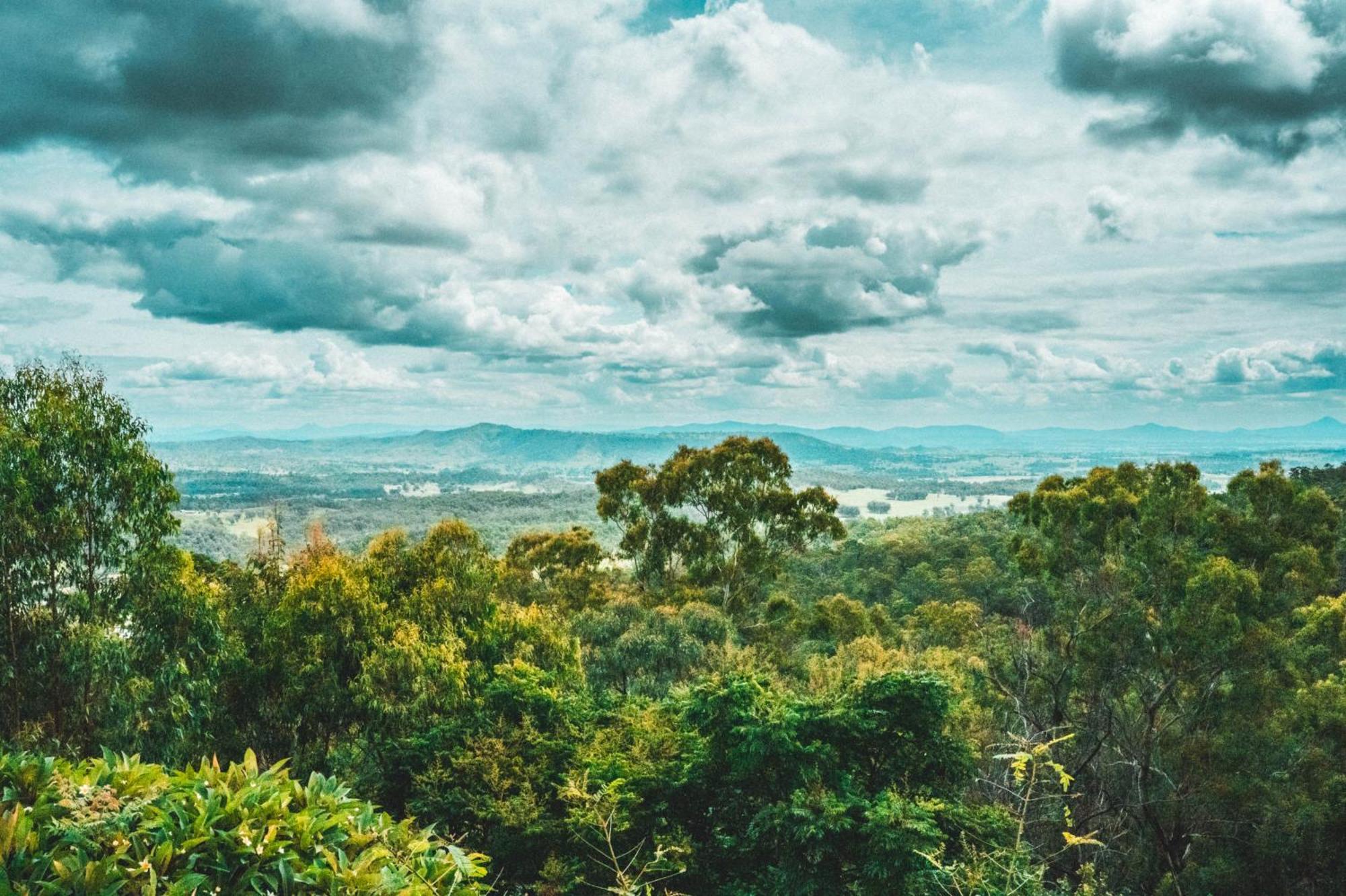 Luxurious Hinterland Retreat Heated Pool Gold Coast Hinterland Near Lamington National Park & O'reilly's Valley Vineyard Holiday home *