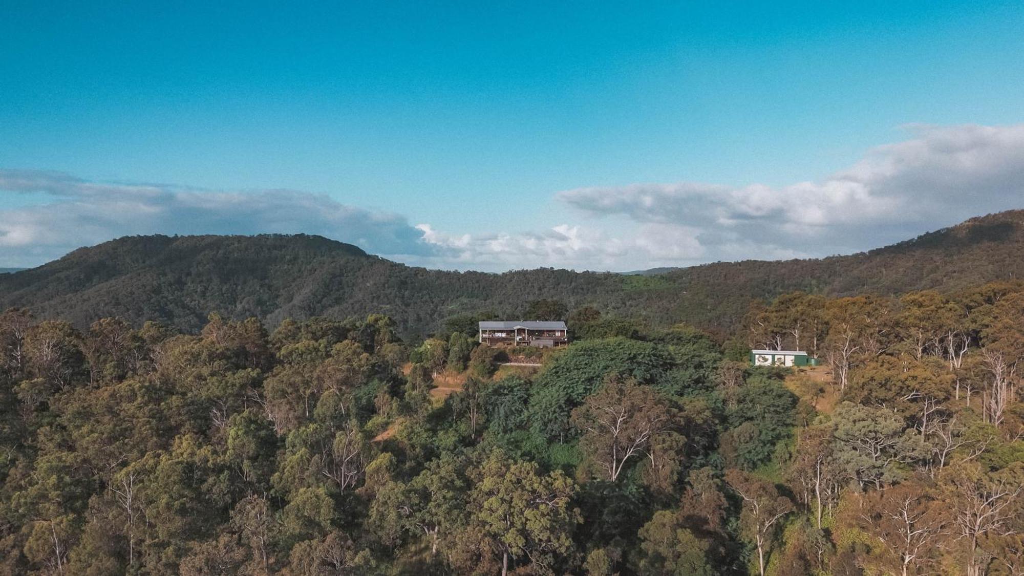 Luxurious Hinterland Retreat Heated Pool Gold Coast Hinterland Near Lamington National Park & O'reilly's Valley Vineyard Holiday home Canungra