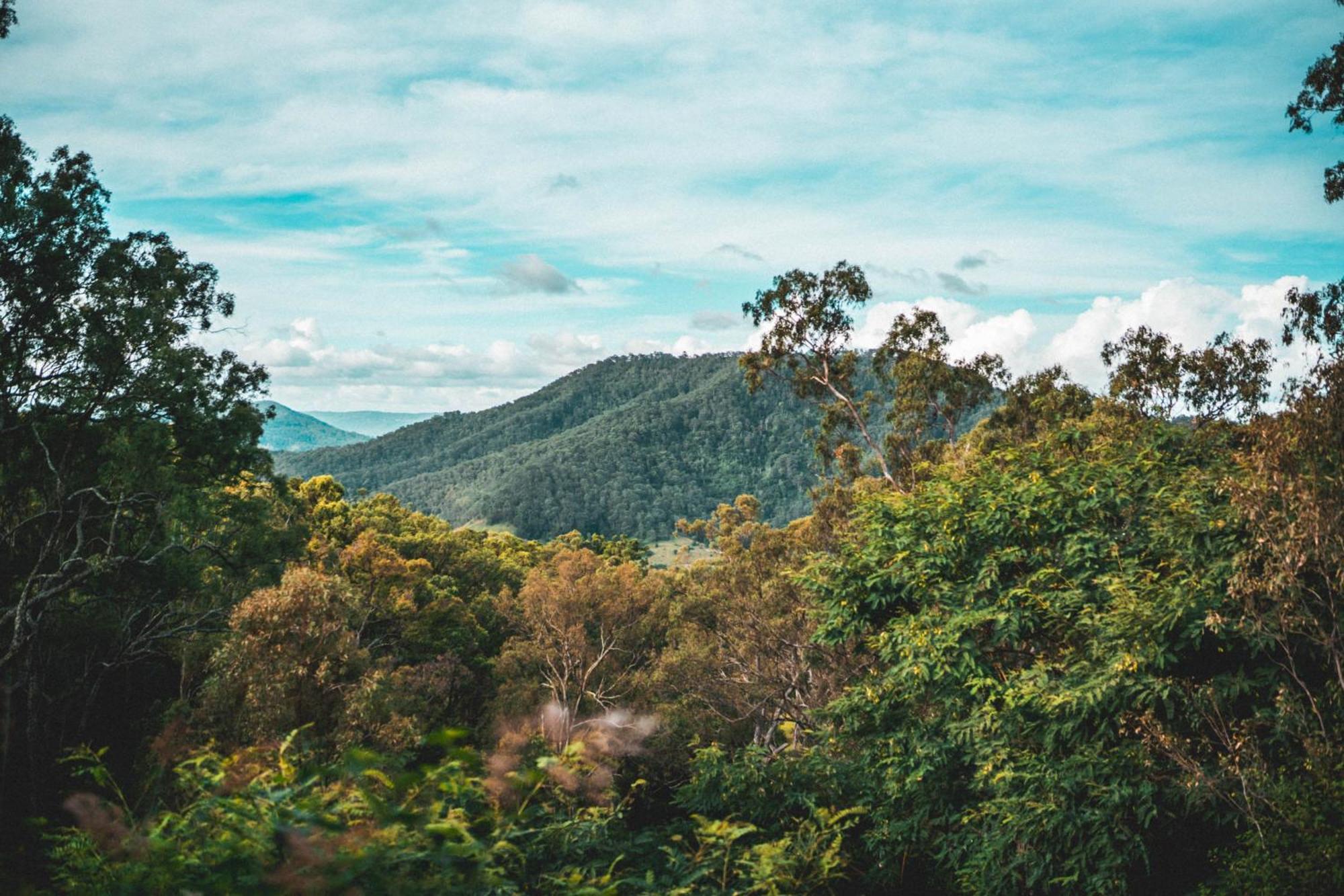 Holiday home Luxurious Hinterland Retreat Heated Pool Gold Coast Hinterland Near Lamington National Park & O'reilly's Valley Vineyard